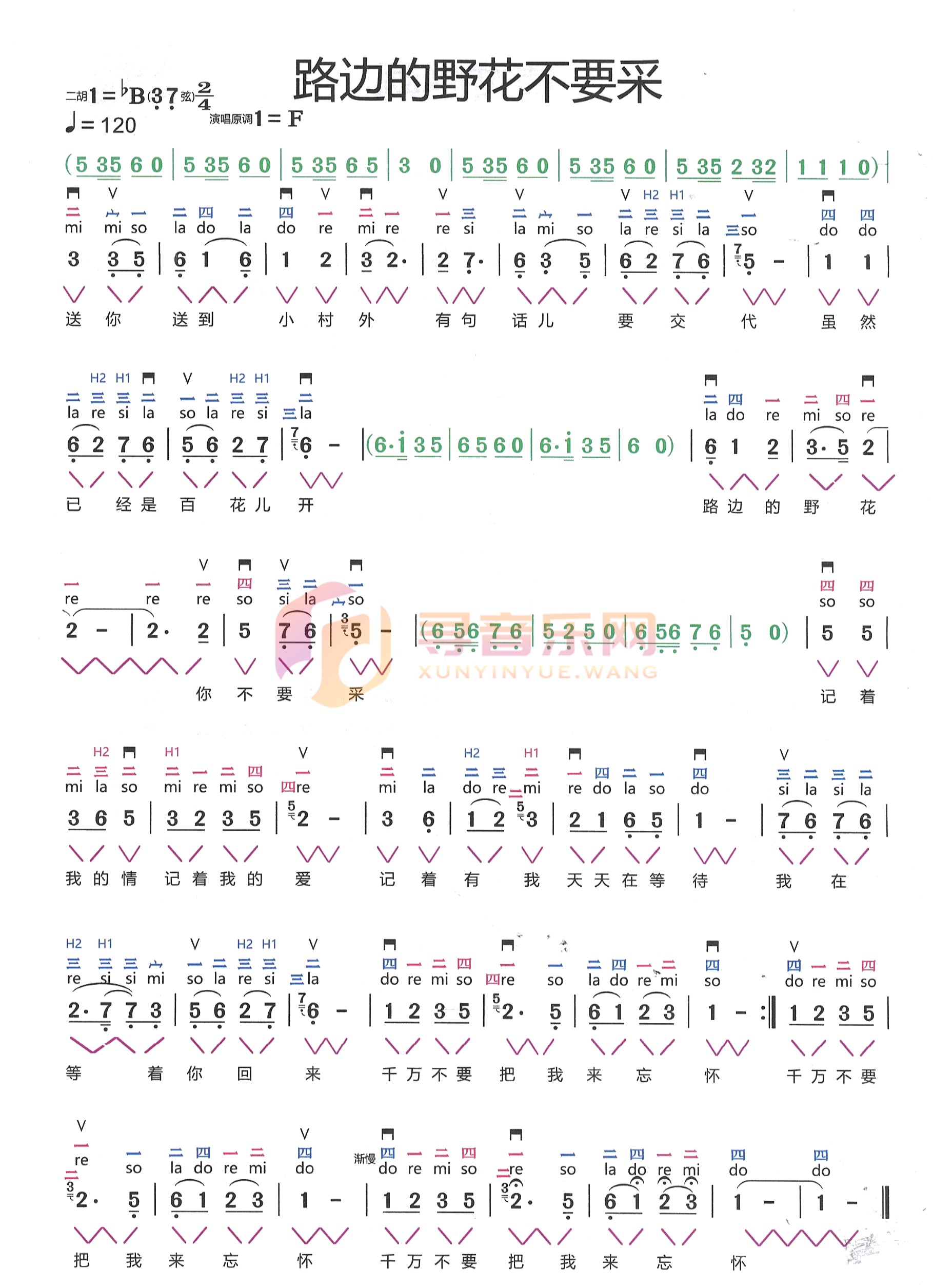 路边的野花不要采降B调