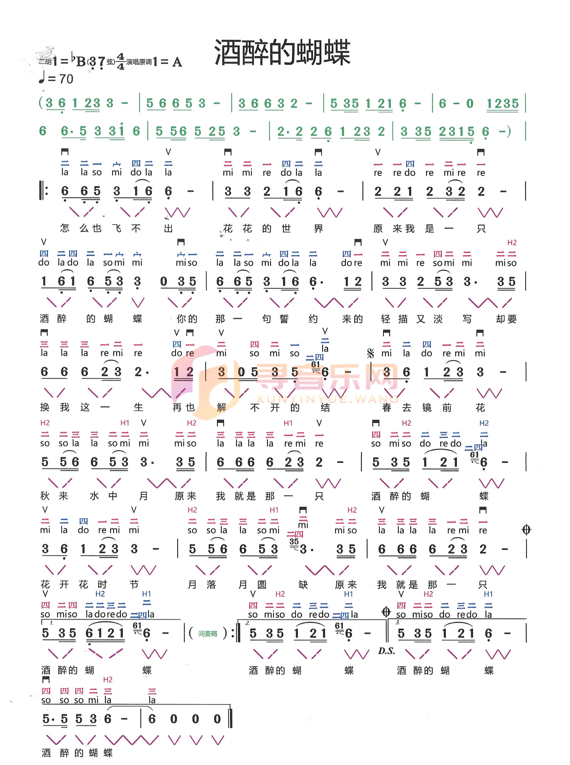 酒醉的蝴蝶降B调